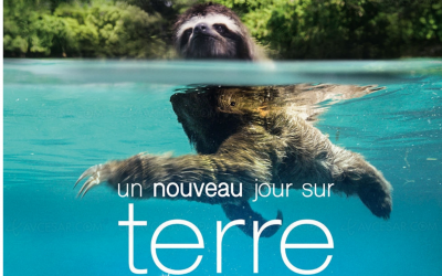 « Un nouveau jour sur terre »: un film magnifiant la nature